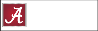 Institute of Data and Analytics