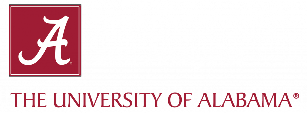 Institute of Data & Analytics